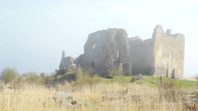 废墟城堡周围的棕色芦苇草