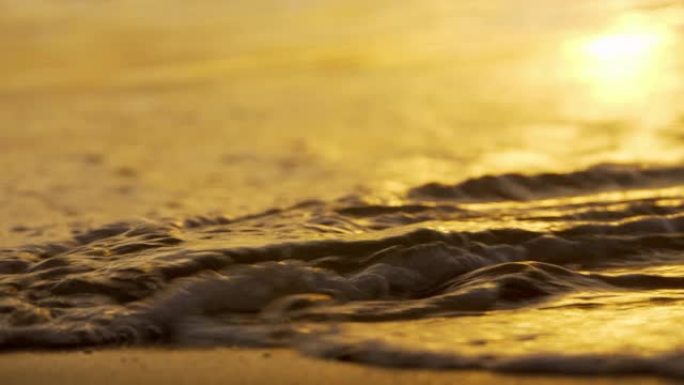 海滩上的中浪和早晨的日出之光。