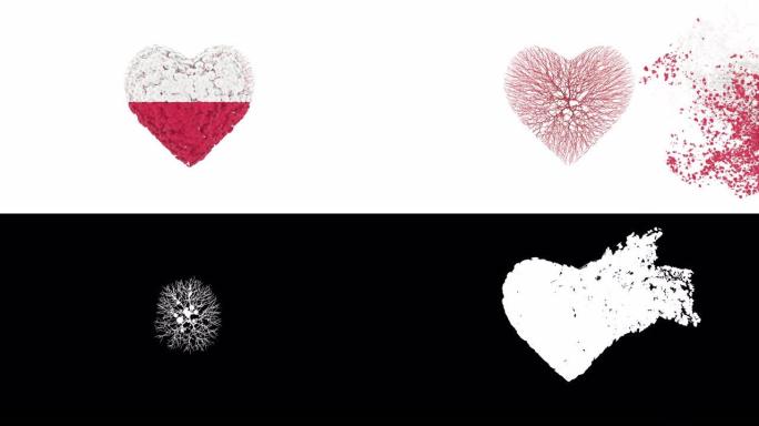11月11日，波兰独立日。心动画与阿尔法磨砂。花朵形成心形。
