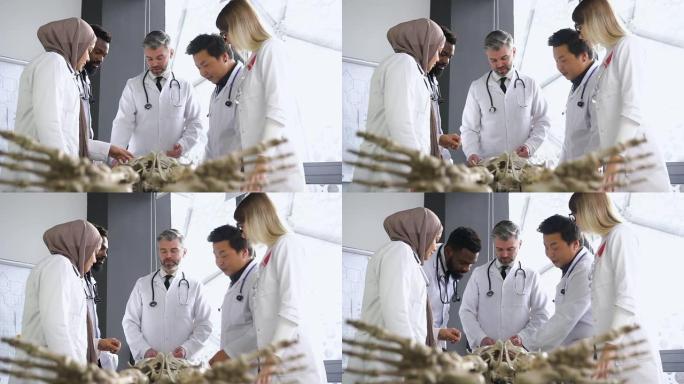 医学生和医学服装教授在医院轻型办公室的外科讲座中研究人体骨骼解剖学