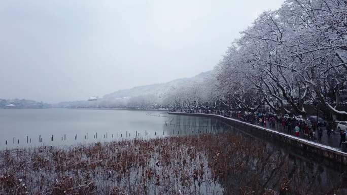 断桥 北山路 保俶塔 雪景 杭州雪景