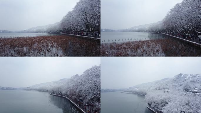 断桥 北山路 保俶塔 雪景 杭州雪景