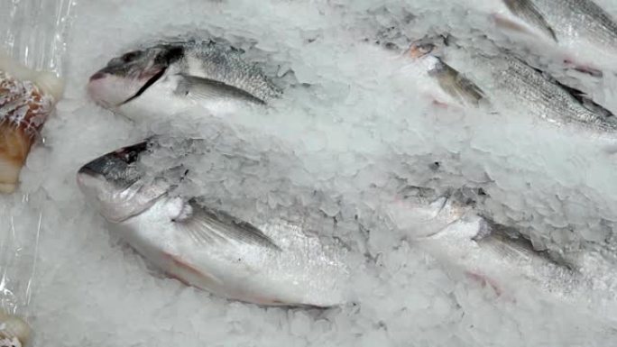 多拉多鱼在鱼大卖场的柜台上冰上，出售新鲜冷冻产品