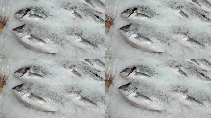 多拉多鱼在鱼大卖场的柜台上冰上，出售新鲜冷冻产品