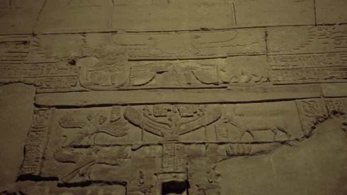 埃及阿斯旺尼罗河沿岸的Kom Ombo神庙猎鹰哈罗雷斯和鳄鱼Sobek神象形文字