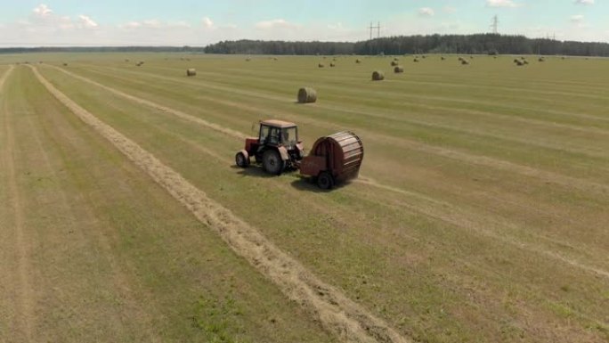 带有卷式打包机的拖拉机在夏季阳光明媚的炎热天气中收集干草