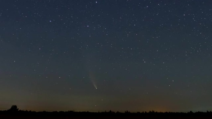 NEOWISE彗星在森林林间空地上方的夜空中