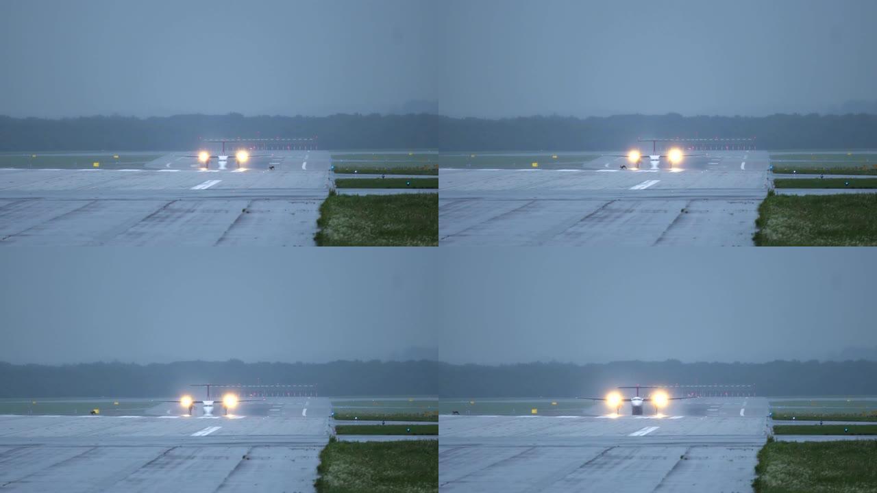 野兔在飞机前的跑道上奔跑