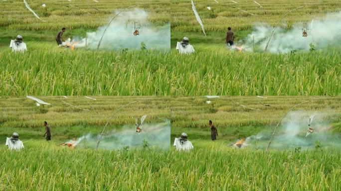亚洲农民在稻田里燃烧秸秆残茬，小麦残渣和废物，为巴厘岛谷物农场的新收成做准备