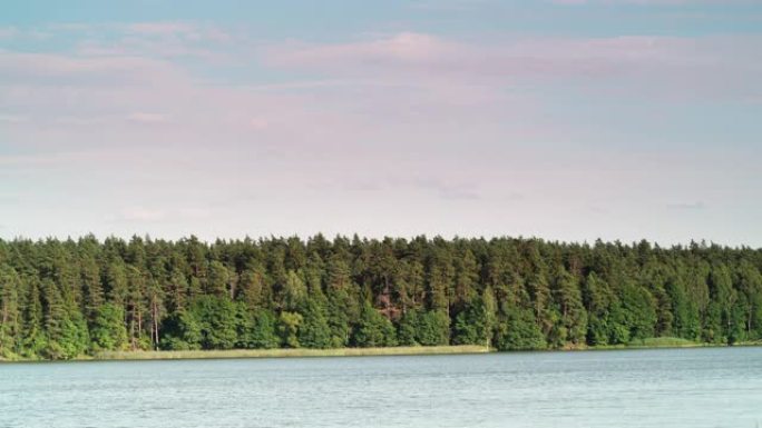 波兰马苏里亚湖岸的森林。