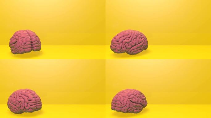 粉色人脑模型3d零件旋转智能解剖动画3d