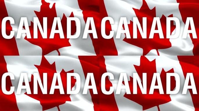 加拿大挥舞着国旗。加拿大国家3d国旗，叶徽飘扬。加拿大多伦多无缝循环动画的标志。加拿大国旗高清分辨率