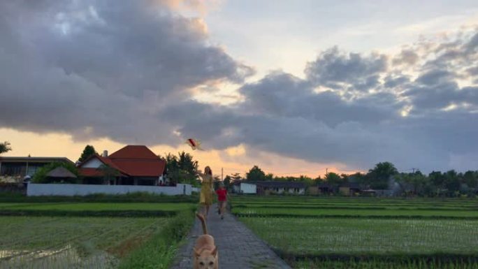 一个年轻的女人，她的小儿子和他们的狗带着风筝在美丽的稻田上奔跑。在电话上拍摄