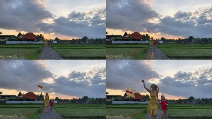 一个年轻的女人，她的小儿子和他们的狗带着风筝在美丽的稻田上奔跑。在电话上拍摄