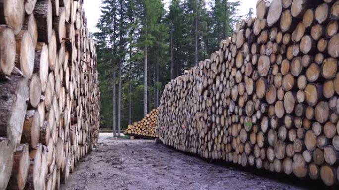 在许多木原木堆中运动