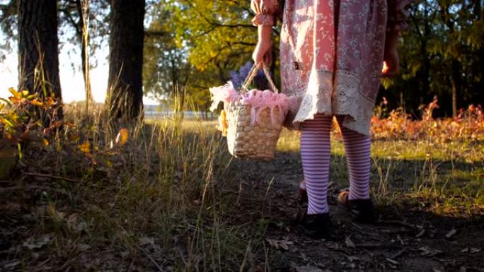 在阳光明媚的秋天傍晚，穿着粉红色连衣裙的漂亮女孩的脚与一个篮子沿着小路行走，在金色的童话森林中从地面