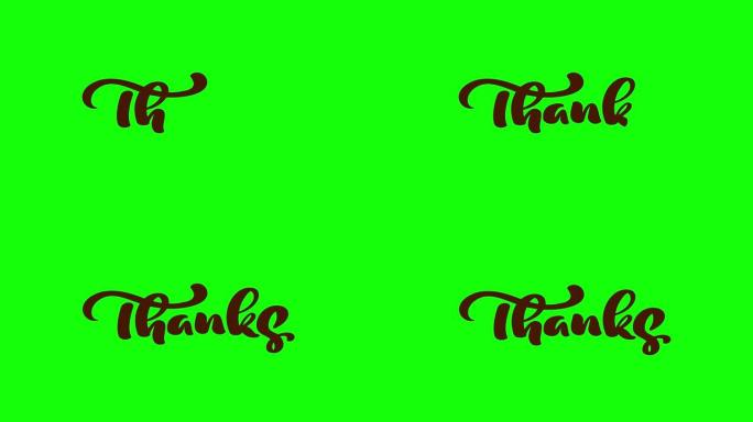 动画手绘书法刻字文字谢谢。现代手写，带有绿色色度键上的感恩节报价。全高清视频运动