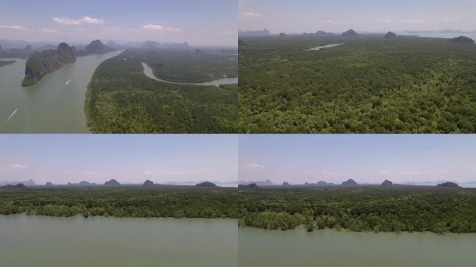 泰国红树林航拍