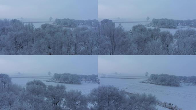 中国吉林雾凇岛雪景