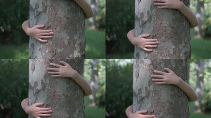 拥抱树。