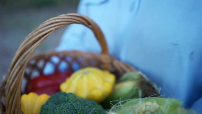 农民拿着一篮子新鲜采摘的有机蔬菜