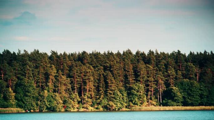 波兰马苏里亚湖岸的森林。