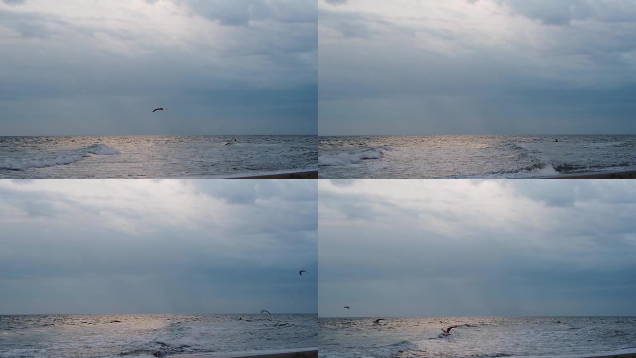 天空中的海鸥在海上雷雨云中。慢动作。
