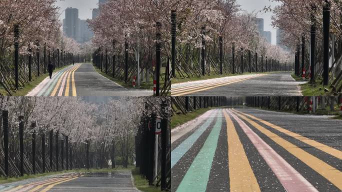 长焦航拍扬州江都生态科技新城樱花大道