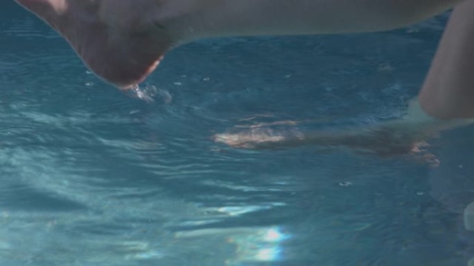 裸露的女性脚在水中