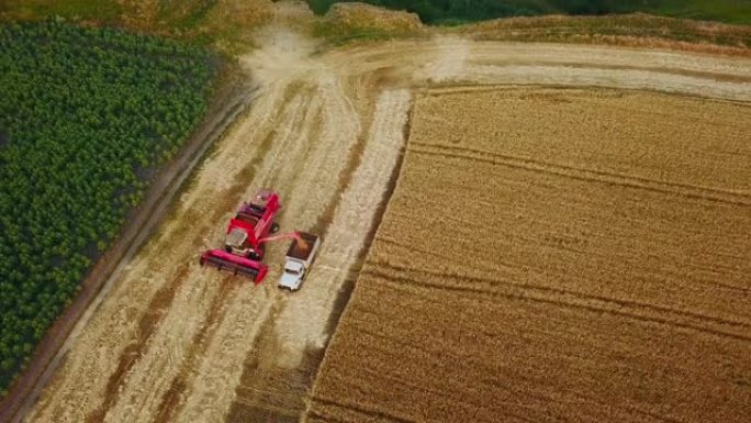 空中无人机视图。将联合收割机中的谷物超载到田间的谷物卡车中。收割机将收割的小麦倒入盒体中。农民在工作