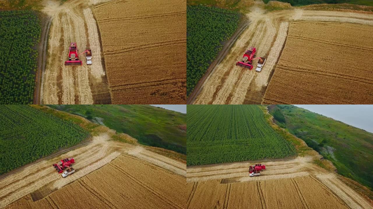 空中无人机视图。将联合收割机中的谷物超载到田间的谷物卡车中。收割机将收割的小麦倒入盒体中。农民在工作