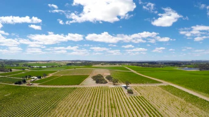 南澳大利亚州主要葡萄酒产区巴罗莎山谷的无人机