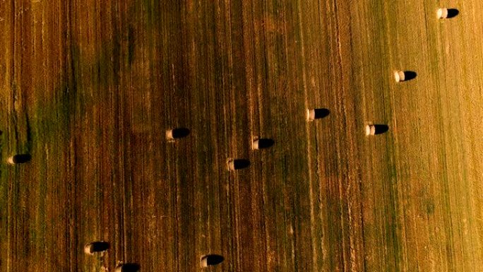 黑尔金色田野的鸟瞰图。我们可以在农村地区看到农业领域-无人机的特写镜头