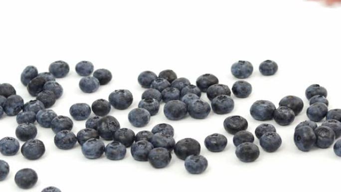 女人用手将少量蓝莓添加到桌子上的白色背景上。