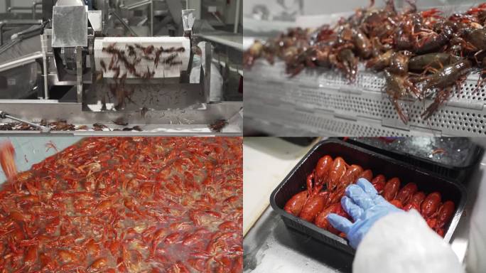 小龙虾 小龙虾加工 预制菜 小龙虾冷链