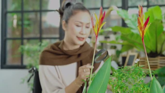 亚洲夫妇在家中温室种植高级植物，家庭教育概念