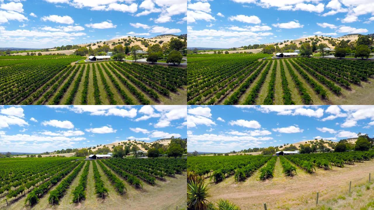 南澳大利亚州主要葡萄酒产区巴罗莎山谷的无人机