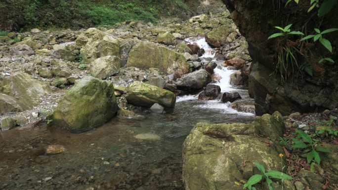 夏日山间溪流水清凉自然素材