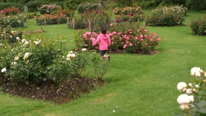 年轻女孩在夏日花园的早晨奔跑