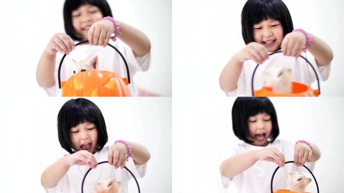 慢动作快乐亚洲女孩在南瓜桶里和小猫玩捉迷藏
