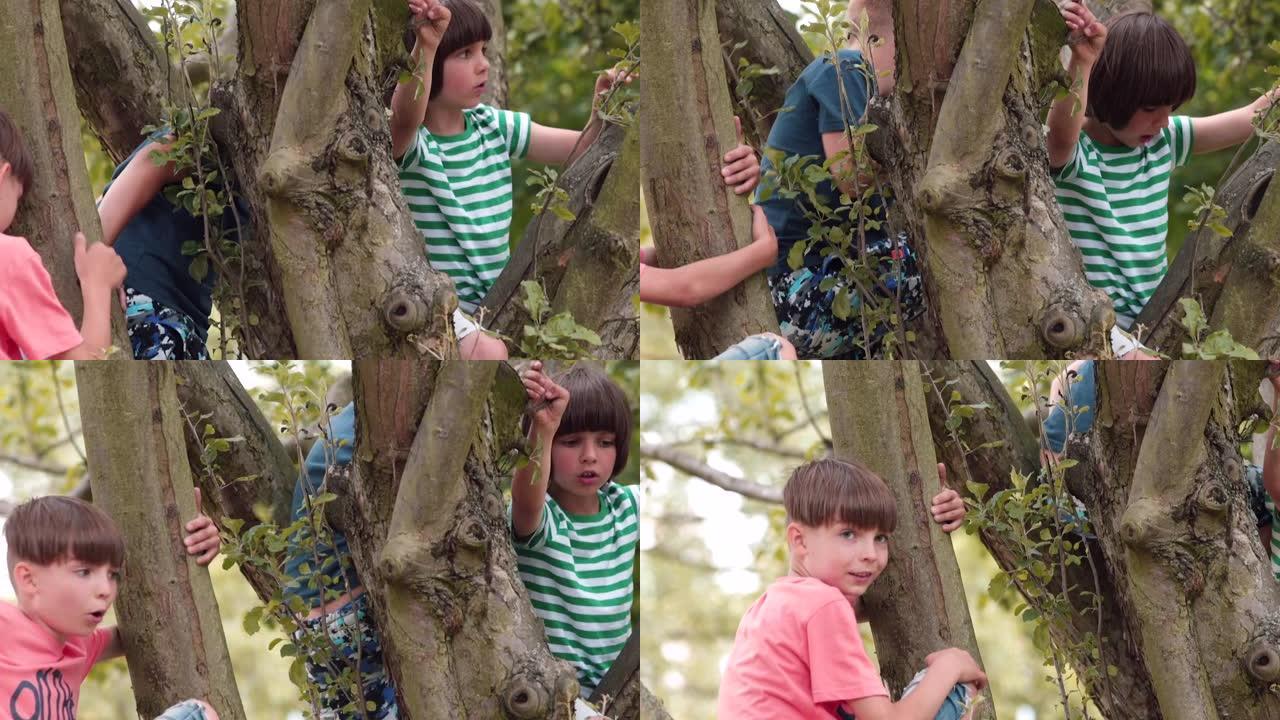 孩子们爬上树的树枝。村里活跃的青少年。