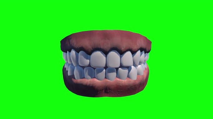 8种不同的动画牙齿假牙牙科医生人类绿屏色度键模型3d