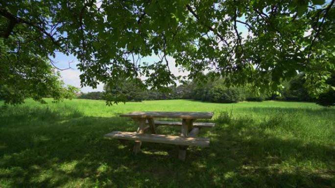 树下的公园长椅草坪野营场地树荫下的椅子