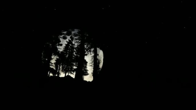 夜晚的森林，满月大