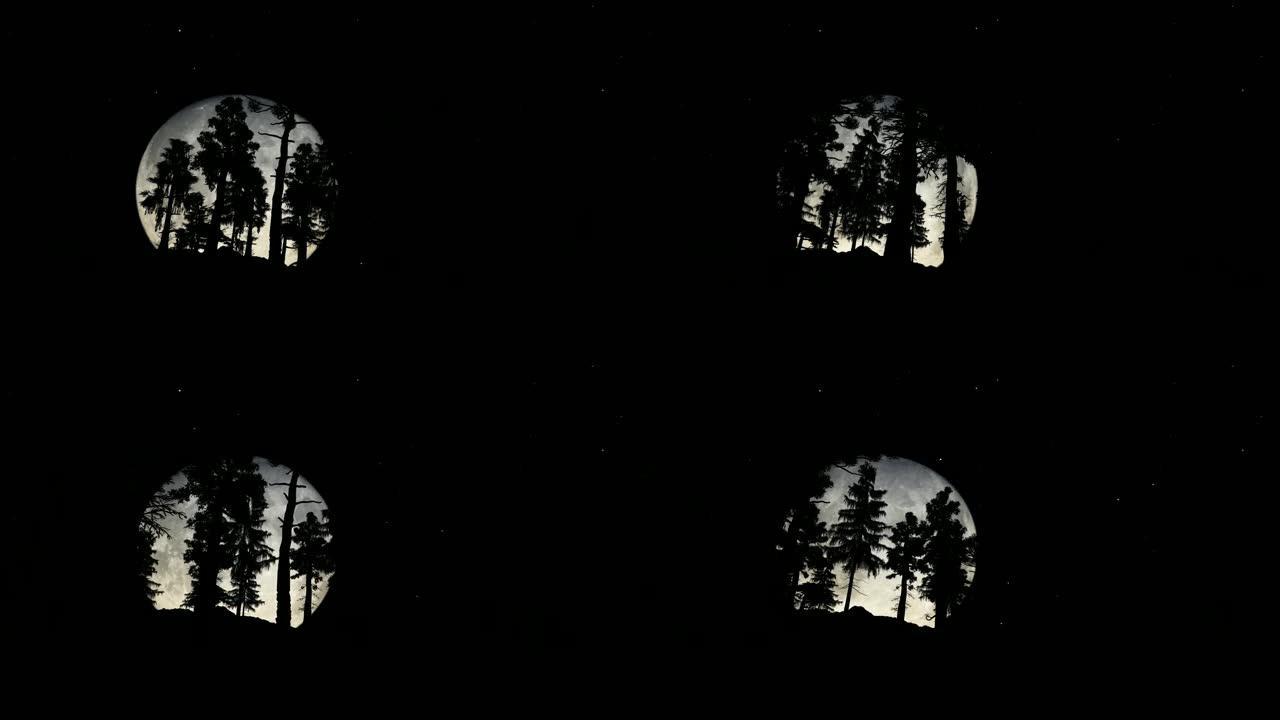 夜晚的森林，满月大