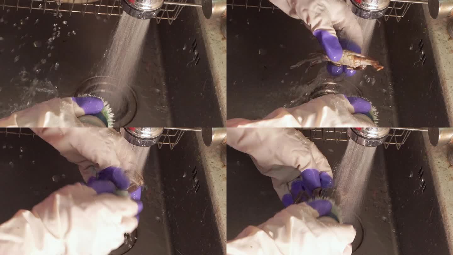戴手套刷洗大闸蟹清洗螃蟹 (4)