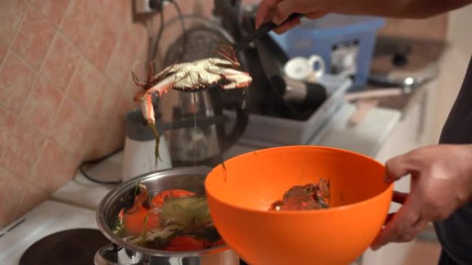 厨师从锅中取出煮熟的红蓝蟹，将它们折叠成一个橙色的碗。