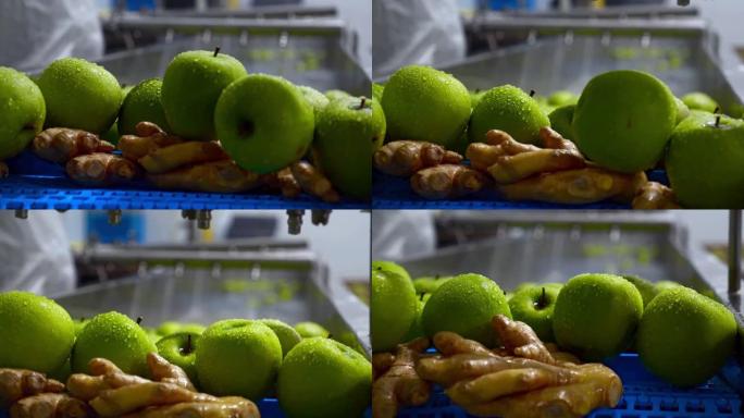 传送带上的苹果和生姜，自动化挤压有机果汁。