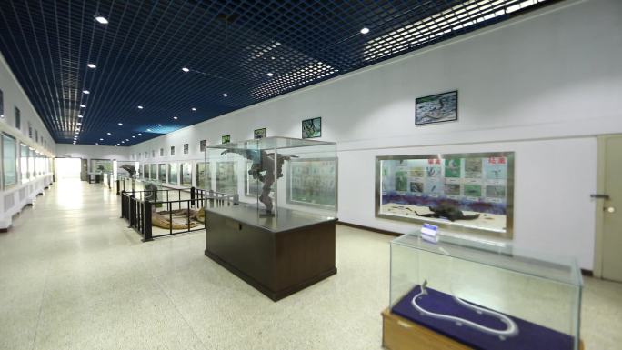h大连蛇岛自然博物馆馆内模型标本