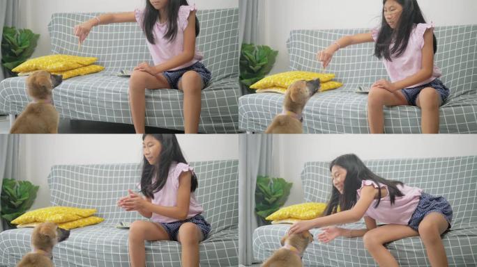 亚洲女孩在家教狗，生活方式理念。